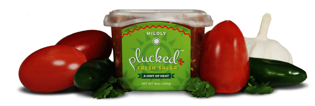 Mildly Plucked Salsa With Fresh Vegetables